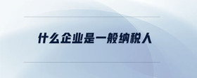 什么企業(yè)是一般納稅人