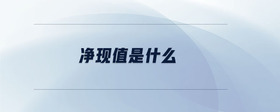 凈現(xiàn)值是什么