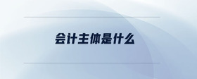 會計(jì)主體是什么