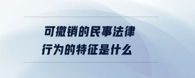 可撤銷的民事法律行為的特征是什么