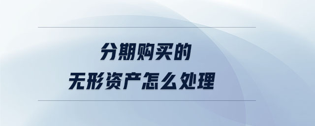 分期購買的無形資產(chǎn)怎么處理