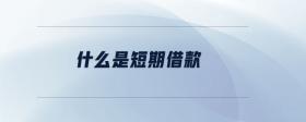 什么是短期借款