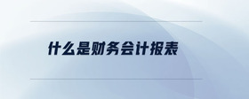 什么是財(cái)務(wù)會計(jì)報(bào)表