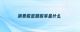 消費稅定額稅率是什么