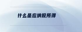 什么是應(yīng)納稅所得