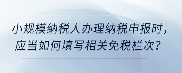 小規(guī)模納稅人在辦理增值稅納稅申報時，應(yīng)當(dāng)如何填寫相關(guān)免稅欄次？