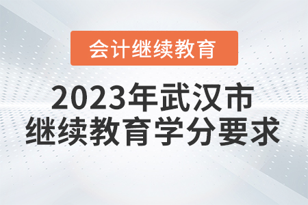 2023年湖北省武漢市會計繼續(xù)教育學分要求