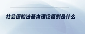 社會(huì)保險(xiǎn)法基本理論原則是什么