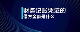 財務(wù)記賬憑證的借方金額是什么