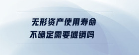 無形資產(chǎn)使用壽命不確定需要攤銷嗎