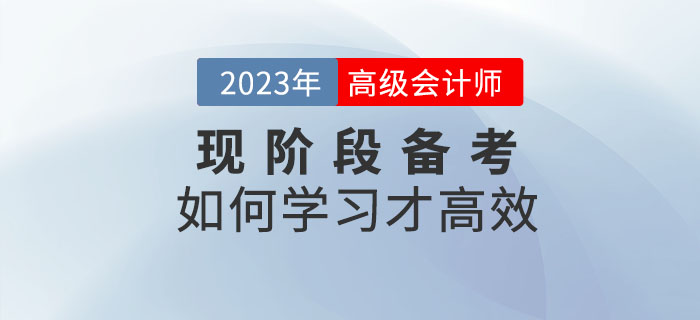 2023年高級(jí)會(huì)計(jì)師備考如何學(xué)習(xí)才高效？