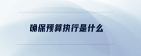 確保預算執(zhí)行是什么