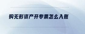 購無形資產(chǎn)開專票怎么入賬