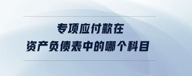 專項應(yīng)付款在資產(chǎn)負(fù)債表中的哪個科目