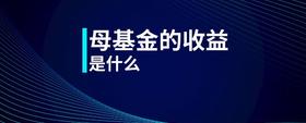 母基金的收益是什么