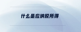 什么是應(yīng)納稅所得