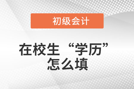 在校大學(xué)生2023年初級(jí)會(huì)計(jì)職稱(chēng)報(bào)名信息表中的“學(xué)歷”怎么填？