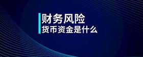 財務風險貨幣資金是什么