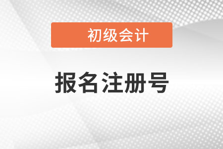 初級(jí)會(huì)計(jì)報(bào)名注冊(cè)號(hào)是什么？有什么用？
