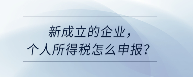 新成立的企業(yè)，個(gè)人所得稅怎么申報(bào)？
