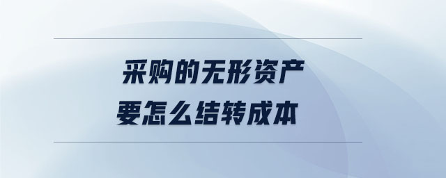 采購的無形資產(chǎn)要怎么結(jié)轉(zhuǎn)成本