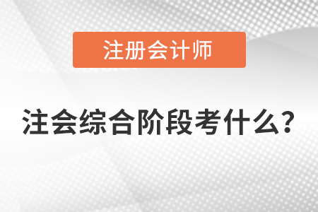 注冊會計師綜合階段考試考什么