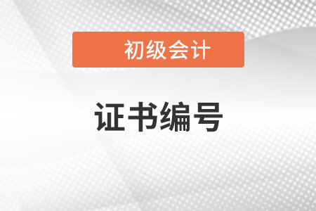 2023年初級(jí)會(huì)計(jì)報(bào)名表上有兩個(gè)證書編號(hào)，怎么填？