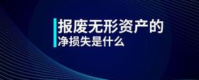 報廢無形資產(chǎn)的凈損失是什么