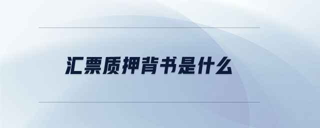 匯票質押背書是什么