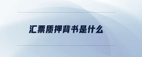 匯票質(zhì)押背書是什么