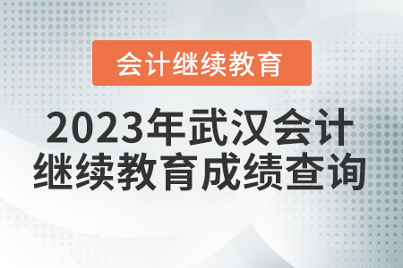 2023年武漢會計(jì)繼續(xù)教育成績查詢方式
