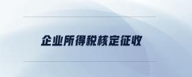 企業(yè)所得稅核定征收