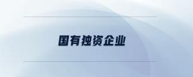 國有獨(dú)資企業(yè)