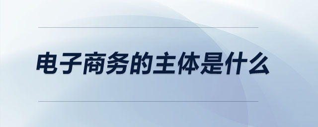 電子商務(wù)的主體是什么