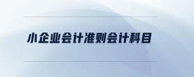 小企業(yè)會(huì)計(jì)準(zhǔn)則會(huì)計(jì)科目