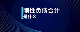 剛性負(fù)債合計(jì)是什么