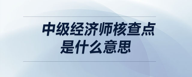 中級經濟師核查點是什么意思
