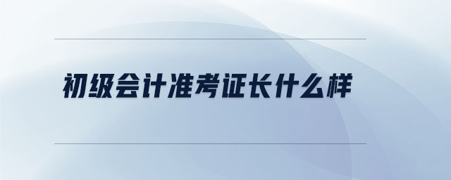 初級(jí)會(huì)計(jì)準(zhǔn)考證長(zhǎng)什么樣