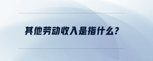 其他勞動(dòng)收入是指什么