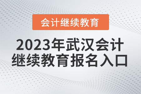 2023年東奧會計繼續(xù)教育武漢入口網(wǎng)站在哪里