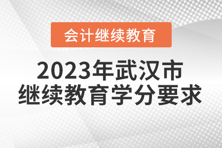 2023年武漢市會(huì)計(jì)人員繼續(xù)教育學(xué)分要求