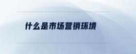什么是市場營銷環(huán)境
