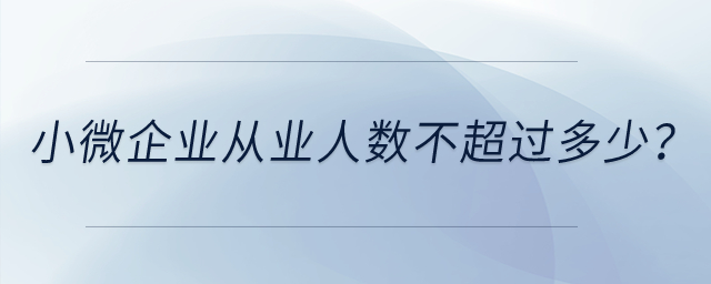 小微企業(yè)從業(yè)人數(shù)不超過(guò)多少？