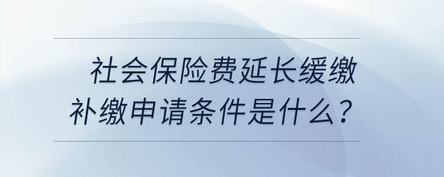 社會保險費(fèi)延長緩繳補(bǔ)繳申請條件是什么？