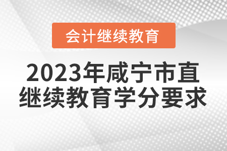 2023年咸寧市直會計繼續(xù)教育學(xué)分要求