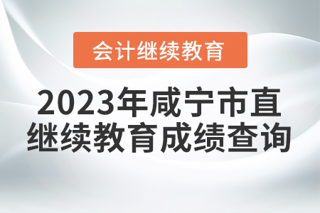 2023年咸寧市直會(huì)計(jì)繼續(xù)教育成績(jī)查詢