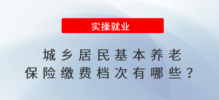 城鄉(xiāng)居民基本養(yǎng)老保險(xiǎn)繳費(fèi)檔次有哪些？