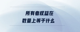 所有者權(quán)益在數(shù)量上等于什么