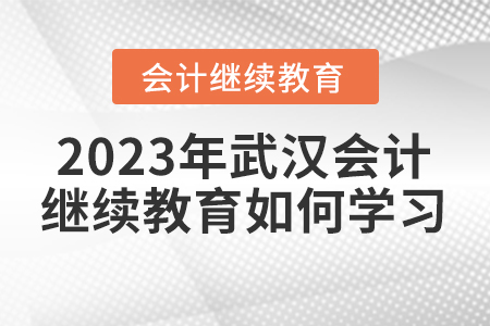 2023年武漢會計人員繼續(xù)教育如何學(xué)習(xí)？