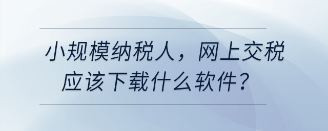 小規(guī)模納稅人，網(wǎng)上交稅應(yīng)該下載什么軟件？
